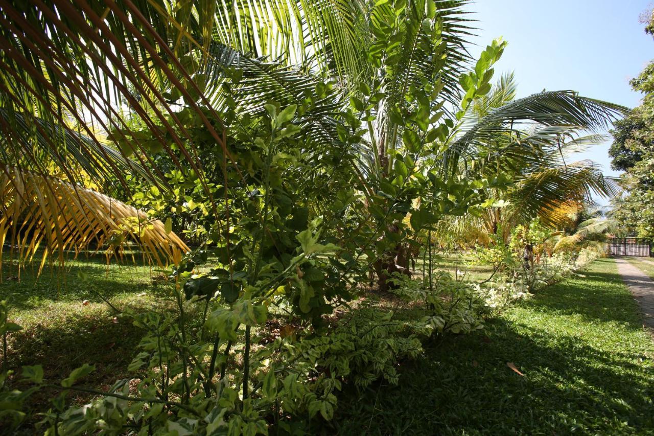 NegomboVilla Exterior foto